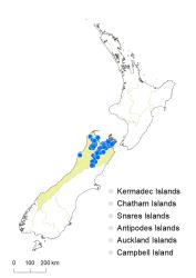 Veronica vernicosa distribution map based on databased records at AK, CHR & WELT.
 Image: K.Boardman © Landcare Research 2022 CC-BY 4.0